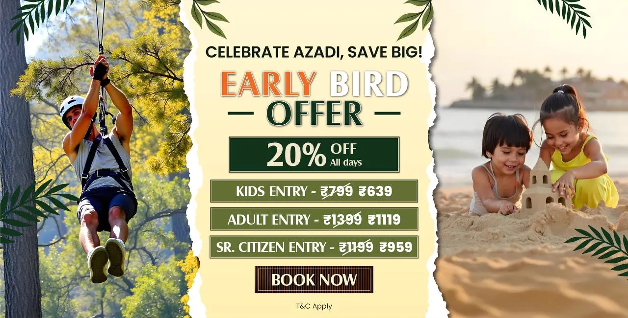 Early Bird Offer