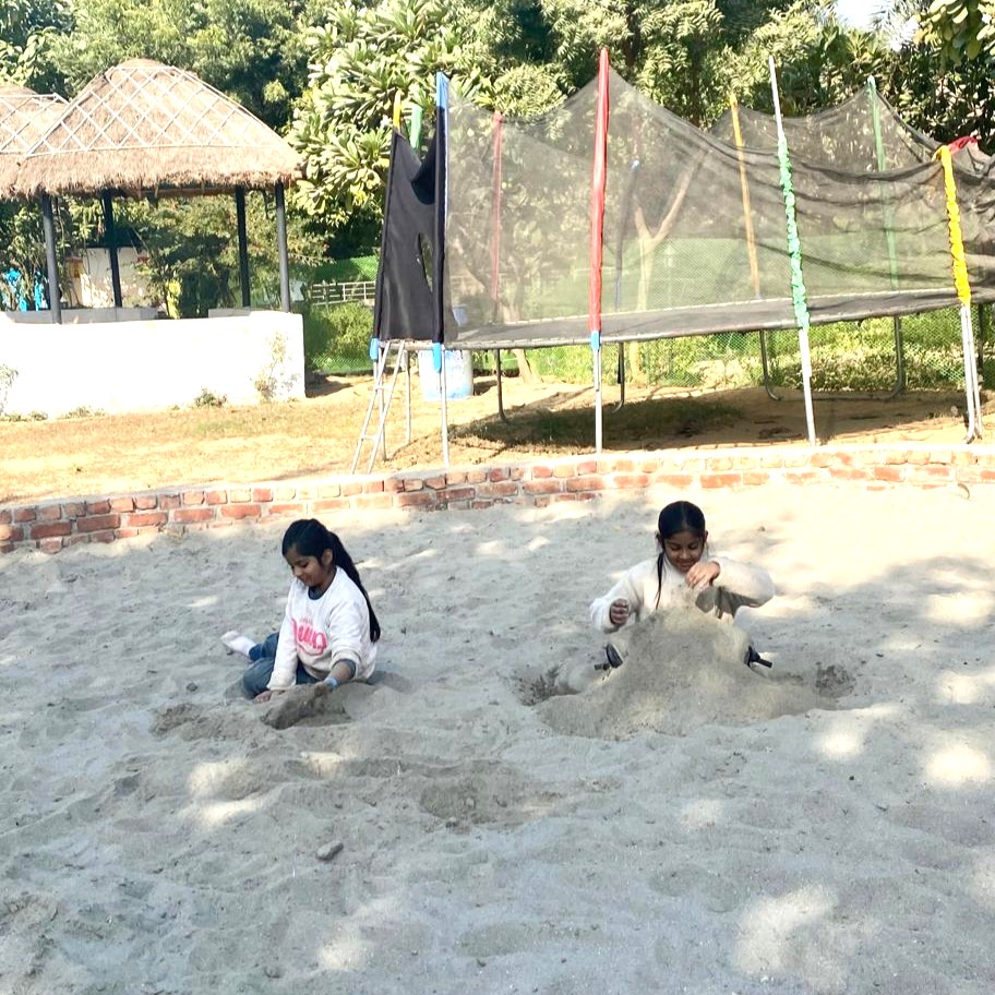 activity