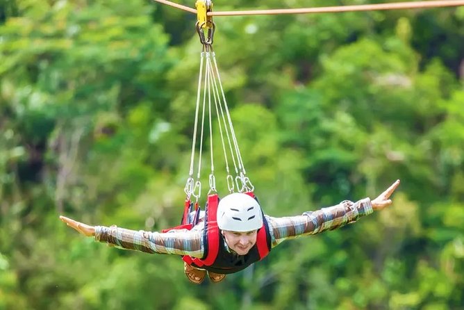 Flying Fox