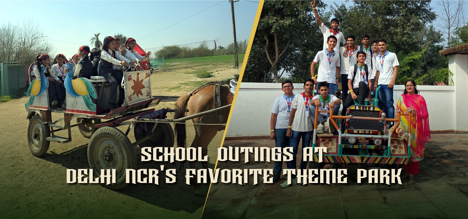 School or College Bookings