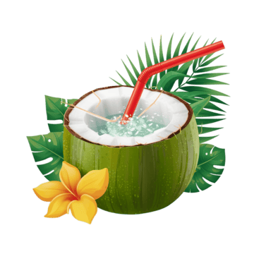 Coconut Icon